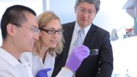 Three individuals looking at a microscope slide.